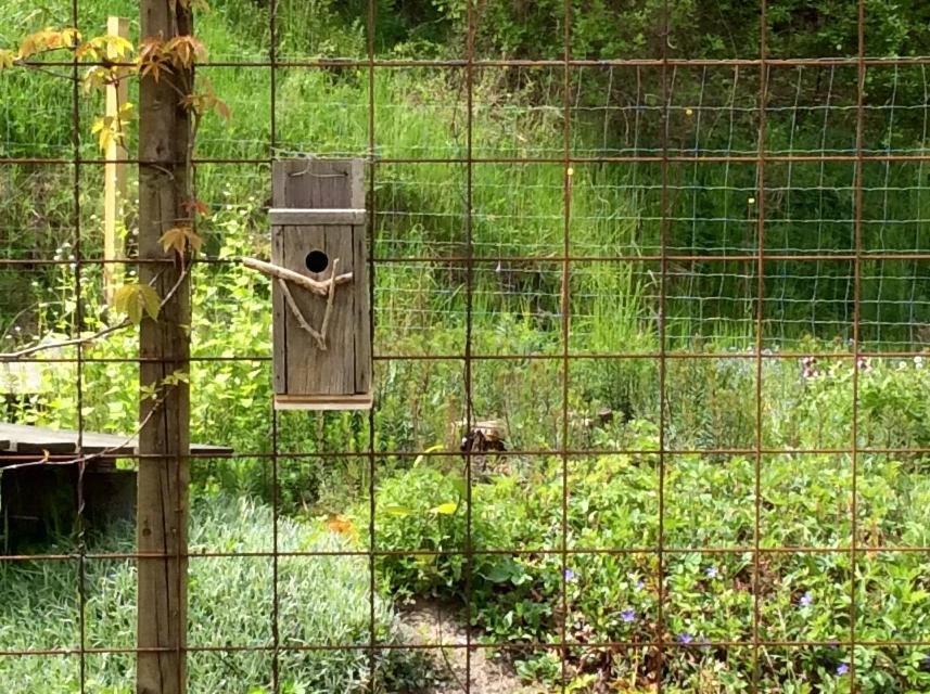 Bergliot Bed & Breakfast Hundested Bagian luar foto